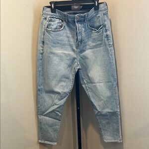 Torrid Classic Blue Denim Jeans